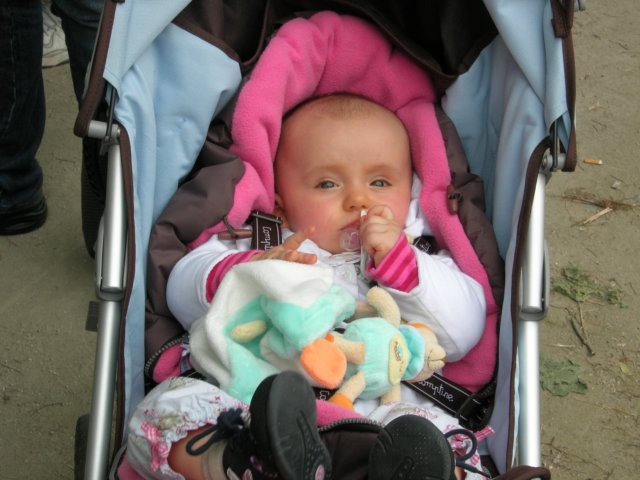 dscn4305.jpg