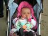dscn4305_small.jpg